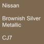 Preview: Nissan, Brownish Silver Metallic, CJ7.